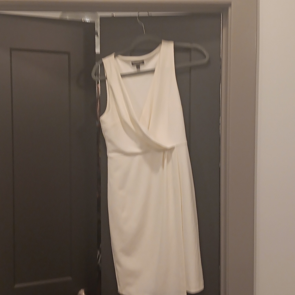 Express Dress - Picture 4 of 4